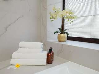 Гостиница Премьер Отель Смоленск Делюкс (Double/Twin)-7